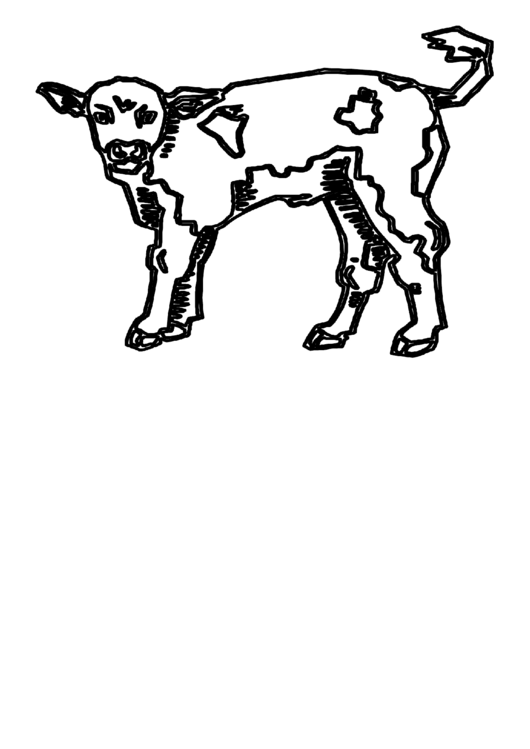 Coloring Sheet - Cow Printable pdf