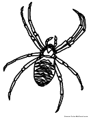 Coloring Sheet - Spider