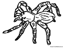 Coloring Sheet - Spider