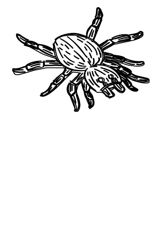 Coloring Sheet - Spider Printable pdf