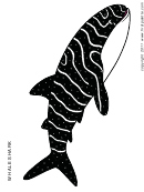 Coloring Sheet - Whale Shark