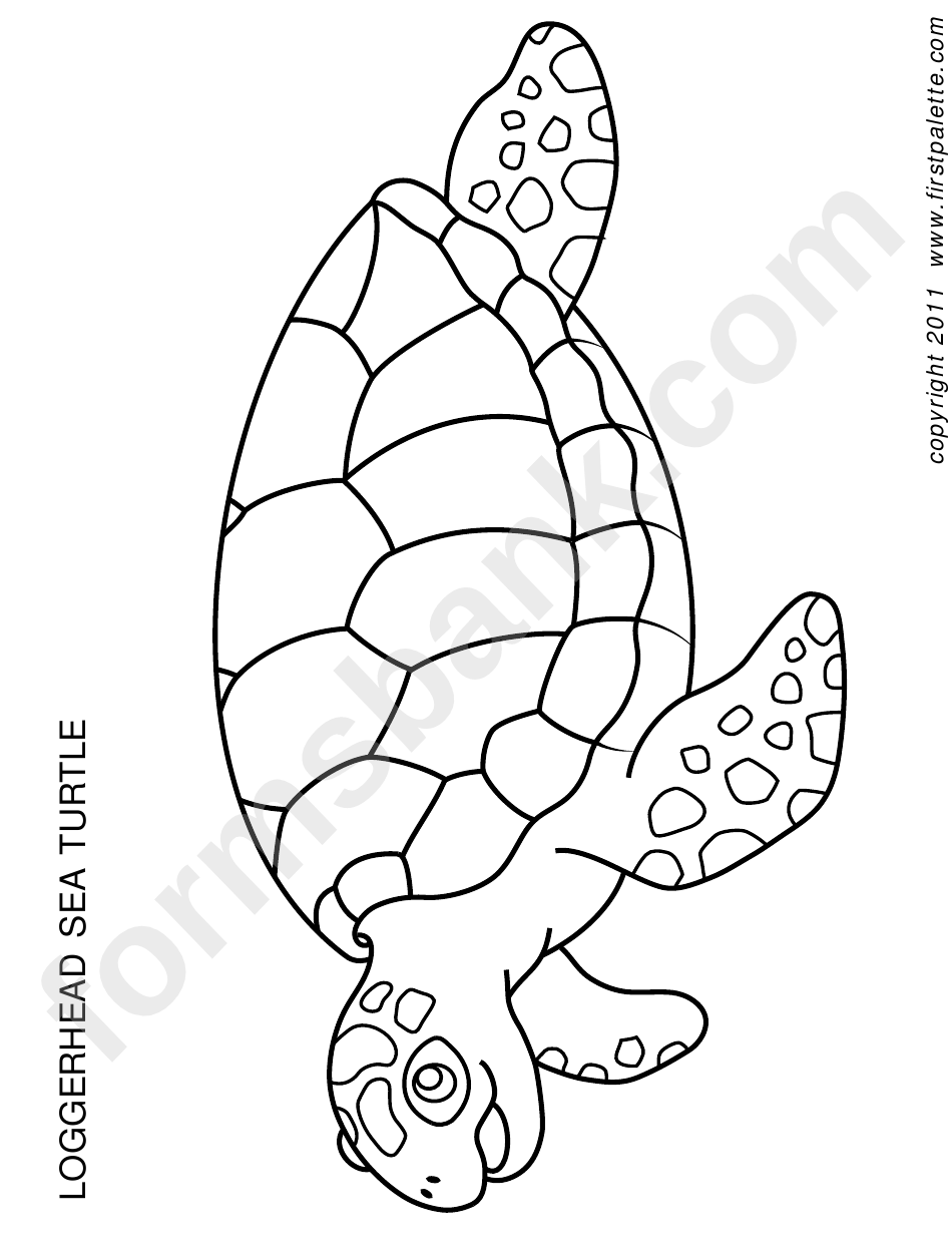 Coloring Sheet - Turtle