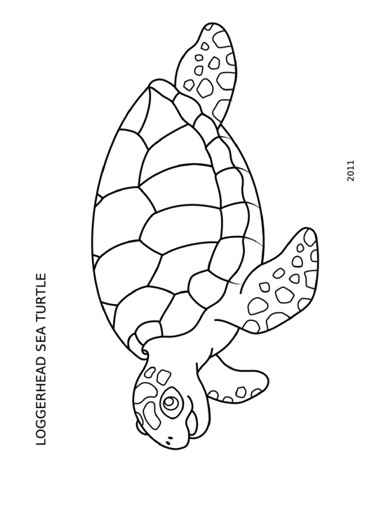 Coloring Sheet - Turtle Printable pdf