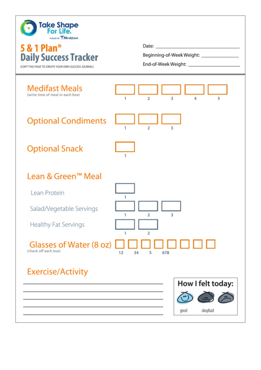 5 And 1 Plan Daily Tracker Printable pdf