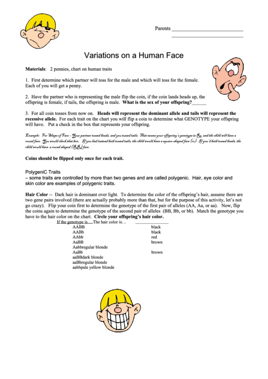 Variations On A Human Face Worksheet Template Printable pdf