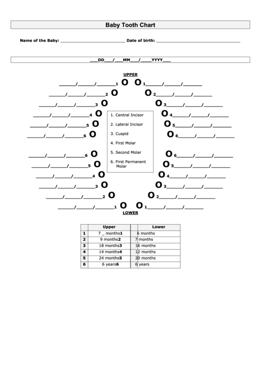 Baby Teeth Chart Printable pdf