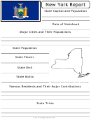 State Research Report Template - New York