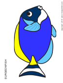 Coloring Sheet - Surgeonfish