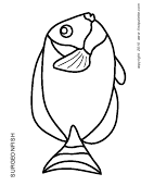 Coloring Sheet - Surgeonfish