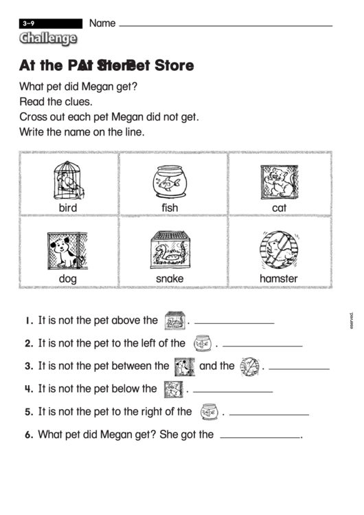 At The Pet Store - Challenge Worksheet With Answer Key Printable pdf