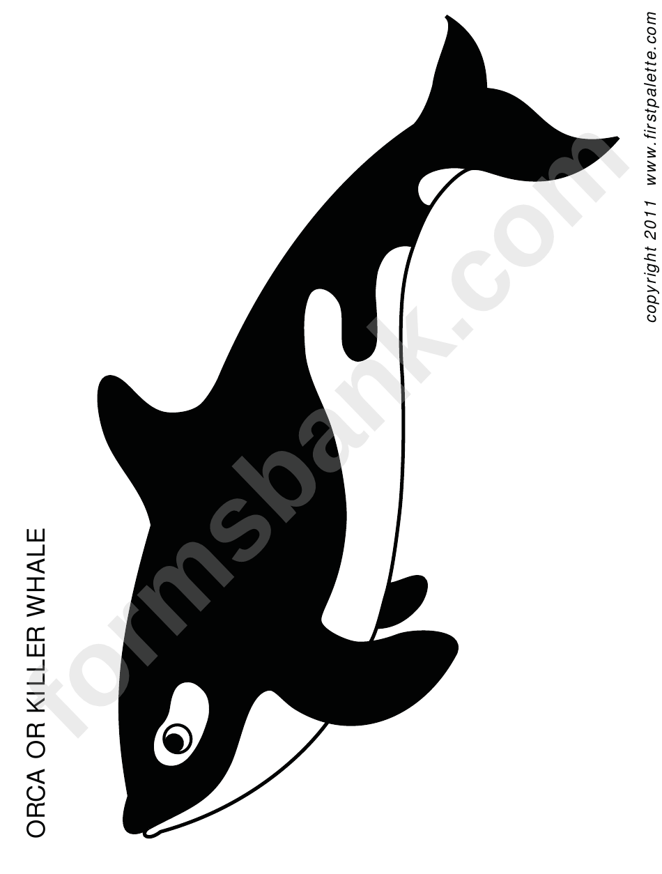 Orca Or Killer Whale Sheet