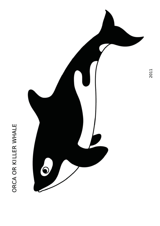 Orca Or Killer Whale Sheet Printable pdf
