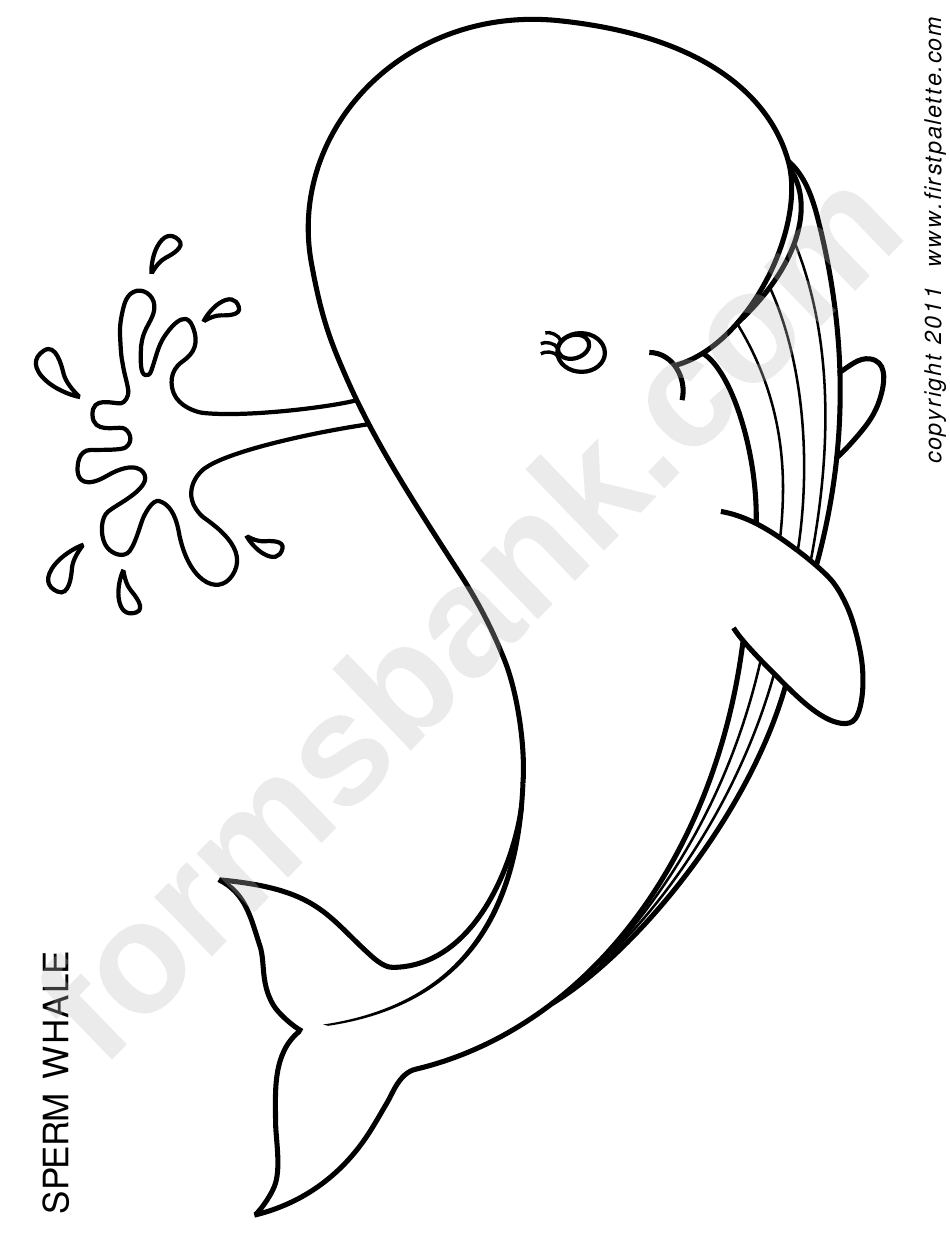 Sperm Whale Sheet