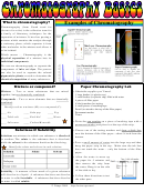 Chromatography Basics Worksheet