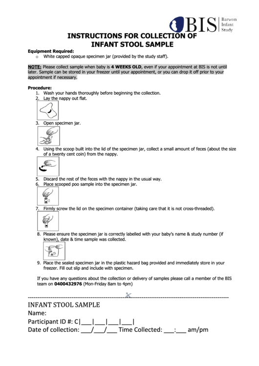 Instructions For Collection Of Infant Stool Sample Printable pdf