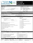 Perinatal Hepatitis B Questionnaire Form