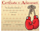 Boxing Certificate Of Achievement Template