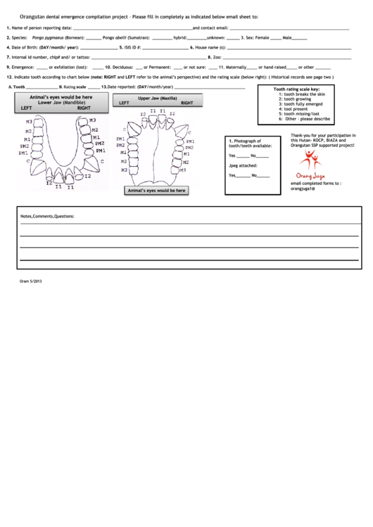 Orangutan Dental Emergence Compilation Project Printable pdf