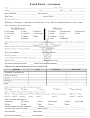 Health History Assessment Printable pdf