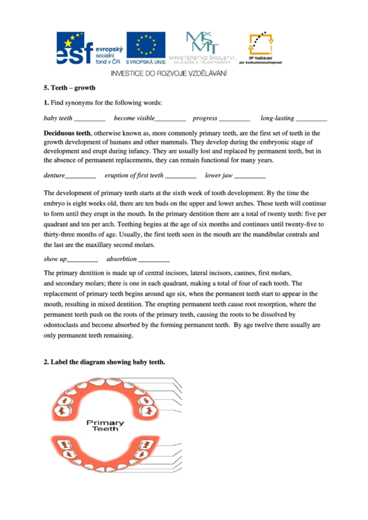 Teeth-Growth Science Worksheet Printable pdf