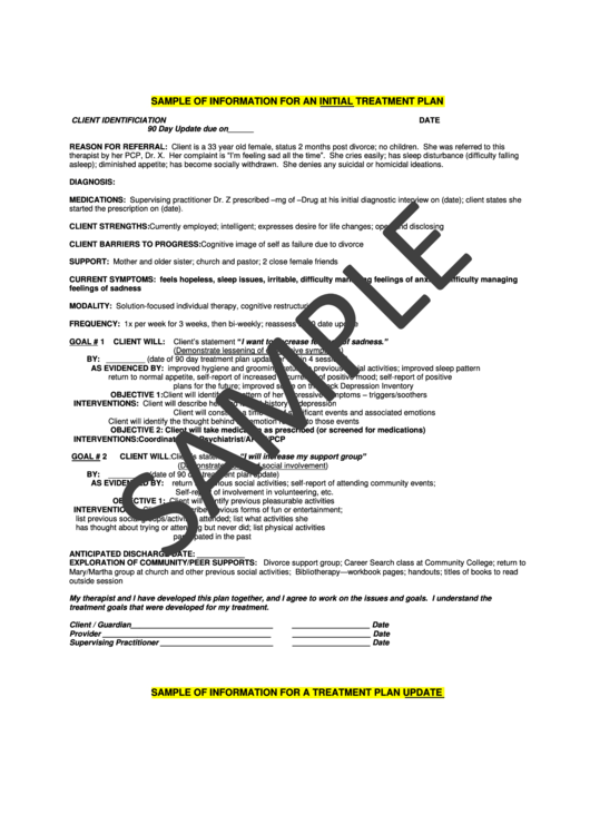 Sample Of Information For An Initial Treatment Plan Template Printable pdf