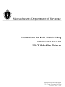 Instructions For Bulk/batch Filing Information Sheets - Massachusetts Department Of Revenue, Massachusetts