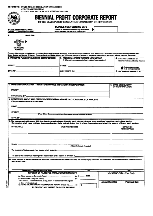 Biennial Profit Corporate Report Form Printable pdf