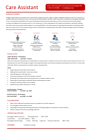Personal Summary Template - Care Assistant Cv