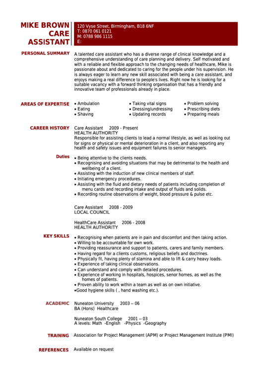 Personal Summary Template - Care Assistant - Job Cv Printable pdf