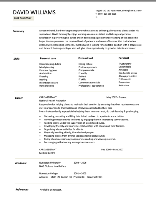 Personal Summary Template - Care Assistant Cv (Job Resume) Printable pdf