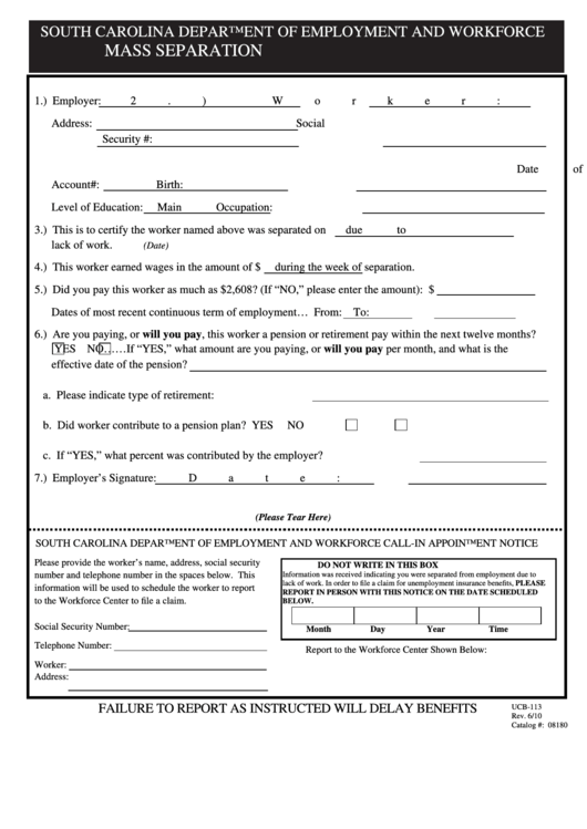 Form Ucb-113 - South Carolina Department Of Employment And Workforce Printable pdf