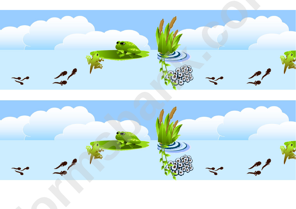 Frog Life Cycle Border Template For Displays