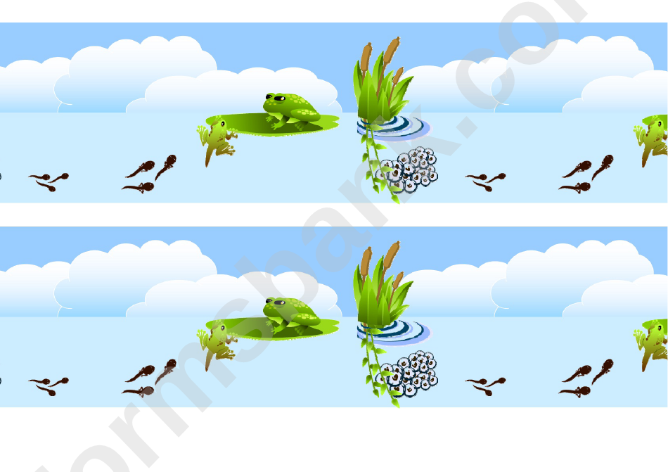 Frog Life Cycle Border Template For Displays