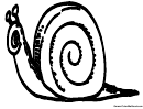 Coloring Template - Snail