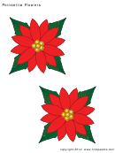 Coloring Template - Poinsettia Flowers