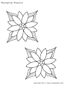 Coloring Template - Poinsettia Flowers