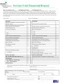 Service Unit Financial Report Form