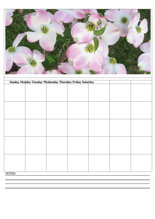 Monthly Calendar Template Printable pdf