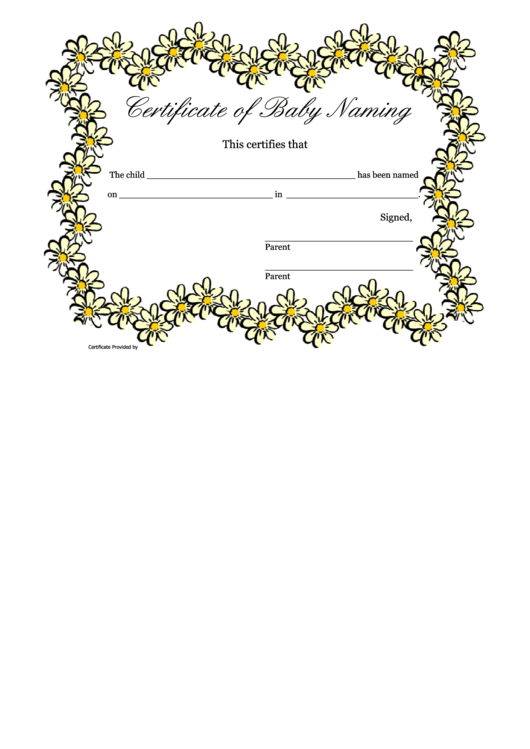 Certificate Of Baby Naming Template Printable pdf