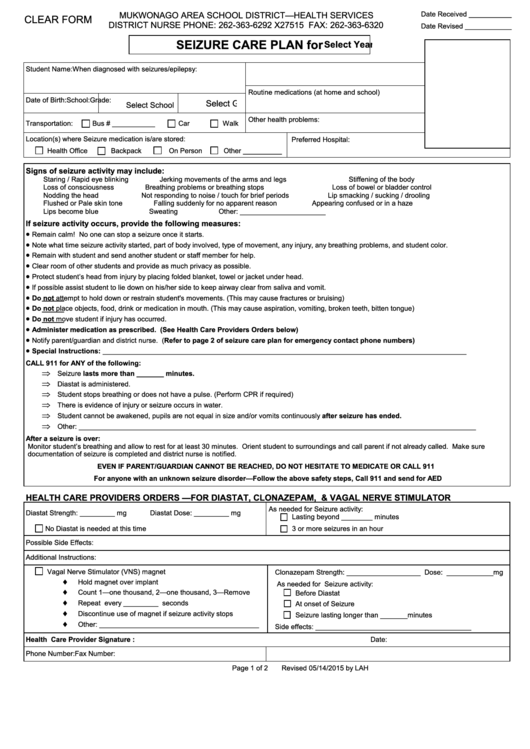 Fillable Seizure Care Plan Form (2015) Printable pdf