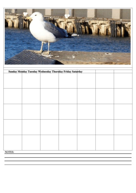 Seagal Weekly Planner Template Printable pdf