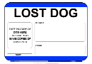 Lost Dog Sign Template