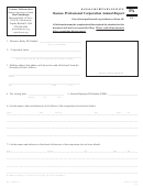 Form K.s.a. 17-2718 - Kansas Professional Corporation Annual Report