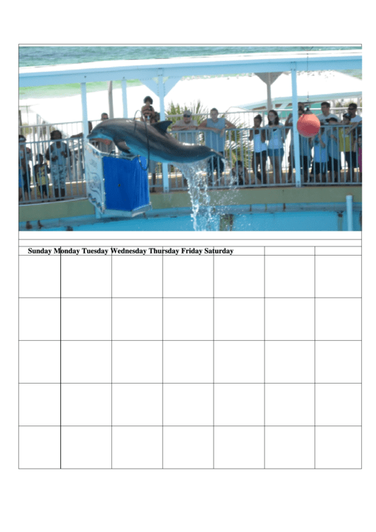 Jumping Dolphin Blank Monthly Calendar Template Printable pdf
