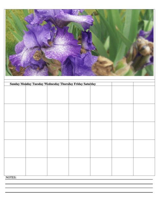 Flowers Blank Monthly Calendar Template Printable pdf