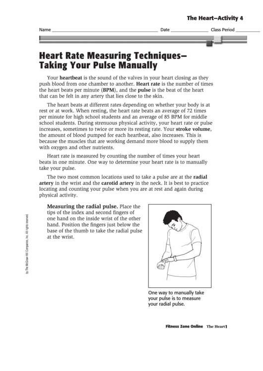 The Heart Activity 4 Printable pdf