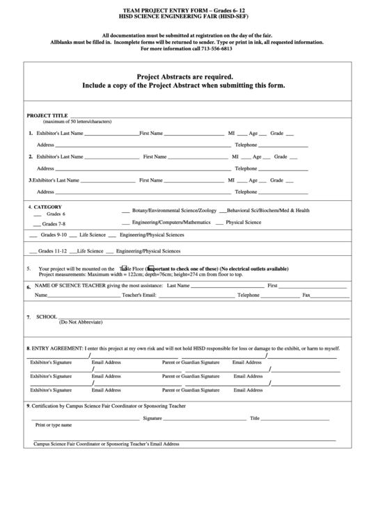 Team Project Entry Form Printable pdf