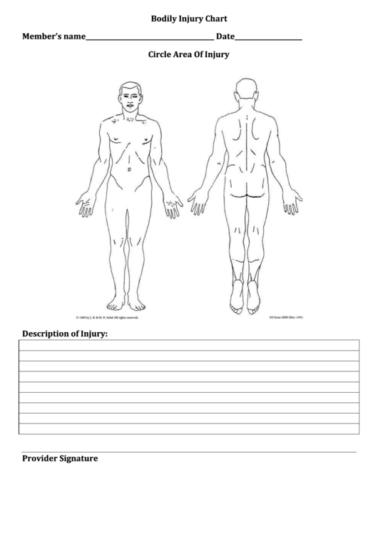 Bodily Injury Chart Printable pdf