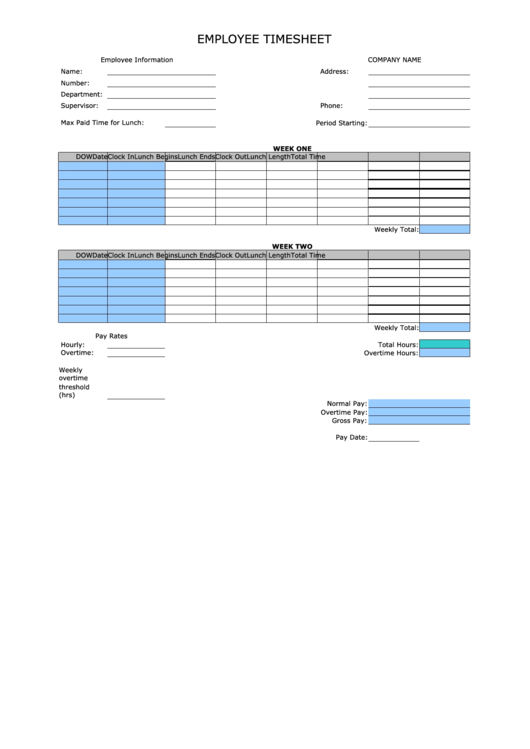 2 Week Employee Timesheet Template Printable pdf