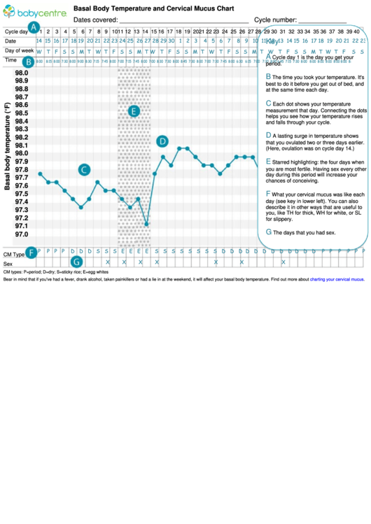 Basal Body Temperature F And Cervical Mucus Chart Printable Pdf Download 